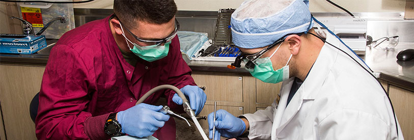 دوره های آموزش دستیار دندانپزشک در زمره پر مخاطب ترین دوره های آمزوش قرار دارند .